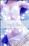 Through the silk. E-book. Formato Mobipocket ebook di Daniel Kay