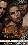 Threesome Surrender: Books 1 - 3. E-book. Formato PDF ebook di Malory Chambers