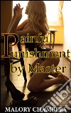 Painful punishment by master. E-book. Formato Mobipocket ebook