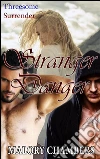 Stranger danger. E-book. Formato PDF ebook di Malory Chambers