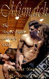 Mismatch: Book 8 of 'The Angel Falls Library Files'. E-book. Formato PDF ebook di Forrest Young