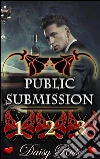 Public Submission 1 - 3: Books 1 - 3 of 'Public Submission'. E-book. Formato EPUB ebook di Daisy Rose