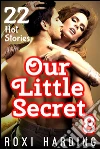 Our Little Secret #8: 22 Hot Stories. E-book. Formato EPUB ebook di Roxi Harding