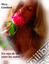 Un Rayo De Sol Entre Las Nubes.. E-book. Formato Mobipocket ebook di Mery Lambert