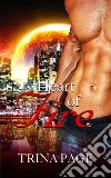 First Meeting: Heart of Fire Book 1 (Shifter Romance). E-book. Formato Mobipocket ebook