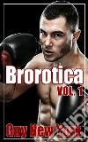 Brorotica Vol.1: Five Stories of Straight Men and Gay Sex. E-book. Formato EPUB ebook di Guy New York