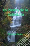 La Piedra De La Sabiduría. E-book. Formato EPUB ebook di Florina Rosu