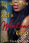 Zel's Wanton Trip (Sexed-up Fairy Tales 6). E-book. Formato EPUB ebook di Derenzi Balach
