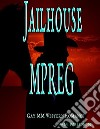 Jailhouse MPREG: Gay Western Romance. E-book. Formato EPUB ebook di Pam Paulson