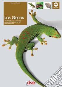 Los gecos . E-book. Formato EPUB ebook di Massimo Millefanti