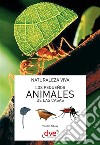 Los pequeños animales de las casas. E-book. Formato EPUB ebook di Vincent Albouy