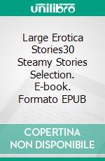 Large Erotica Stories30 Steamy Stories Selection. E-book. Formato EPUB ebook