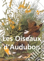 Les Oiseaux d'Audubon. E-book. Formato EPUB ebook