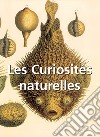 Les Curiosités naturelles. E-book. Formato EPUB ebook