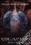 Escaping psychiatry. Beginnings. E-book. Formato EPUB ebook di Olga Núñez Miret