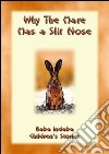 Why the Hare has a Split Nose - An Ancient Zulu Folk Tale: Baba Indaba Childrens Stories Issue 02. E-book. Formato EPUB ebook