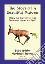 THE STORY ABOUT A BEAUTIFUL MAIDEN - A West African Hausa Tale: Baba Indaba Childrens Stories Issue 19. E-book. Formato EPUB ebook