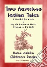 TWO AMERICAN INDIAN LEGENDS - A Bashful Courtship plus Why the Birchtree Wears Slashes in it's Bark: Baba Indaba Childrens Stories Issue 031. E-book. Formato EPUB