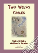 TWO WELSH FABLES - The Fable Of Gwrgan Farfdrwch and The Story Of The Pig-Trough: Baba Indaba Childrens Stories Issue 045. E-book. Formato EPUB ebook