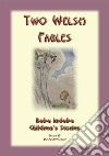 TWO WELSH FABLES - The Fable Of Gwrgan Farfdrwch and The Story Of The Pig-Trough: Baba Indaba Childrens Stories Issue 045. E-book. Formato EPUB ebook