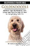 Goldendoodle: Goldendoodles Owners Bible: Goldendoodle Puppies, Mini, Goldendoodle Breeders & Rescue, Owners Guide, Prices, Adults & Full Grown Size, Training, Grooming, Health, & More. E-book. Formato EPUB ebook