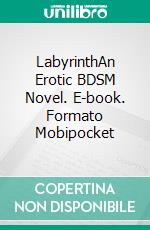 LabyrinthAn Erotic BDSM Novel. E-book. Formato Mobipocket ebook di Lizbeth Dusseau