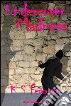 Undercover madness. E-book. Formato EPUB ebook