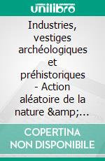 Industries, vestiges archéologiques et préhistoriques - Action aléatoire de la nature &amp; Action intentionnelle de l’Homme - Volume VI. E-book. Formato EPUB ebook