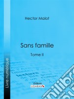 Sans familleTome II. E-book. Formato EPUB ebook