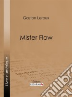 Mister Flow. E-book. Formato EPUB