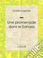 Une promenade dans le Sahara. E-book. Formato EPUB ebook