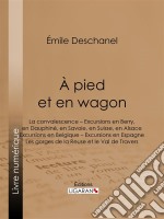 À pied et en wagonLa convalescence – Excursions en Berry, en Dauphiné, en Savoie, en Suisse, en Alsace – Excursions en Belgique – Excursions en Espagne – Les gorges de la Reuse et le Val de Travers. E-book. Formato EPUB ebook