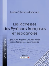 Les Richesses des Pyrénées françaises et espagnolesCe qu'elles furent, ce qu'elles sont, ce qu'elles peuvent être - Agriculture, irrigations, routes, mines, forges, fabriques, eaux minérales. E-book. Formato EPUB ebook di Ligaran