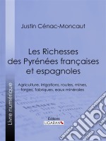 Les Richesses des Pyrénées françaises et espagnolesCe qu&apos;elles furent, ce qu&apos;elles sont, ce qu&apos;elles peuvent être - Agriculture, irrigations, routes, mines, forges, fabriques, eaux minérales. E-book. Formato EPUB ebook