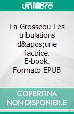 La Grosseou Les tribulations d'une factrice. E-book. Formato EPUB ebook di Raphaëlle Lacroix