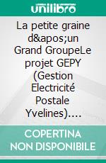 La petite graine d&apos;un Grand GroupeLe projet GEPY (Gestion Electricité Postale Yvelines). E-book. Formato EPUB ebook