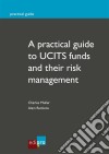 A practical guide to UCITS funds and their risk managementHow to invest with security. E-book. Formato EPUB ebook di Charles Muller