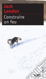 Construire un feuRoman à suspense. E-book. Formato EPUB ebook