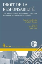 Droit de la responsabilitéDe la détermination des responsabilités à l&apos;évaluation du dommage, un parcours interdisciplinaire. E-book. Formato EPUB