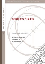 Contrats publicsContraintes et enjeux. E-book. Formato EPUB