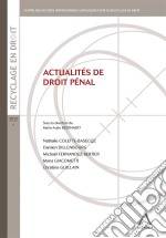 Actualités de droit pénalLes enjeux de ses évolutions. E-book. Formato EPUB