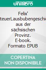 Felix' AbenteuerLausbubengeschichten aus der sächsischen Provinz. E-book. Formato EPUB ebook