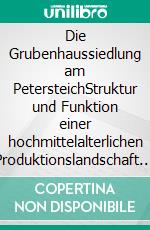 Die Grubenhaussiedlung am PetersteichStruktur und Funktion einer hochmittelalterlichen Produktionslandschaft in Ostfalen. E-book. Formato EPUB ebook