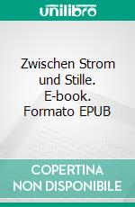 Zwischen Strom und Stille. E-book. Formato EPUB ebook