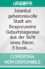 Istanbul geheimnisvolle Stadt am Bosporuseine Geburtstagsreise aus der Sicht eines Bären. E-book. Formato EPUB ebook