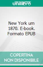 New York um 1870. E-book. Formato EPUB ebook di Stephan Doeve