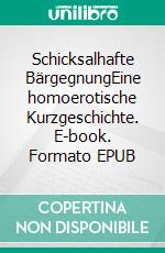 Schicksalhafte BärgegnungEine homoerotische Kurzgeschichte. E-book. Formato EPUB ebook