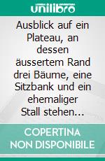 Ausblick auf ein Plateau, an dessen äussertem Rand drei Bäume, eine Sitzbank und ein ehemaliger Stall stehen könntenEin Sommerflimmern. E-book. Formato EPUB ebook