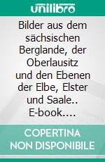 Bilder aus dem sächsischen Berglande, der Oberlausitz und den Ebenen der Elbe, Elster und Saale.. E-book. Formato EPUB ebook