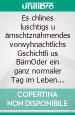 Es chlines luschtigs u ärnschtznähmendes vorwyhnachtlichs Gschichtli us BärnOder ein ganz normaler Tag im Leben einer Pflegefachfrau. E-book. Formato EPUB ebook di Anja Blech